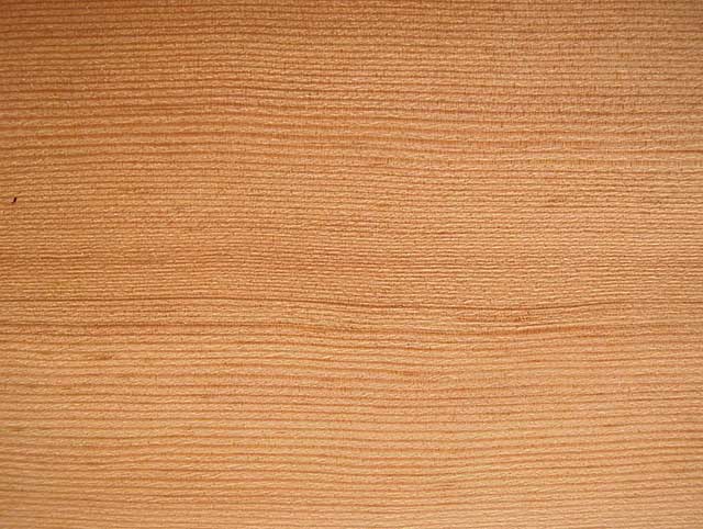 Oregon-Pine Holz